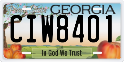 GA license plate CIW8401