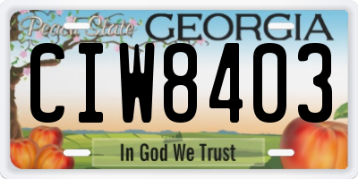 GA license plate CIW8403