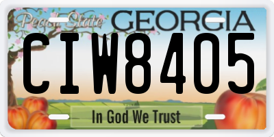 GA license plate CIW8405