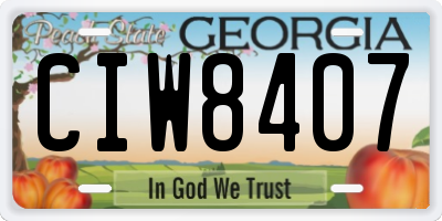 GA license plate CIW8407