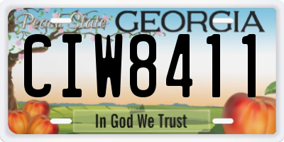 GA license plate CIW8411
