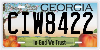GA license plate CIW8422