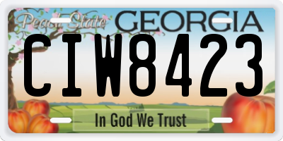 GA license plate CIW8423