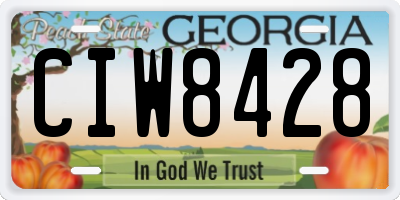 GA license plate CIW8428