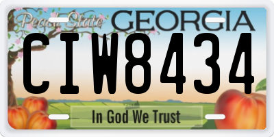 GA license plate CIW8434