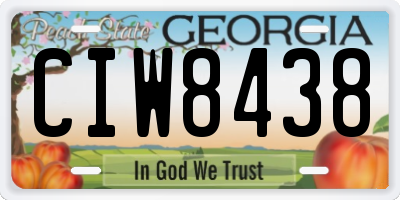 GA license plate CIW8438