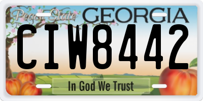 GA license plate CIW8442