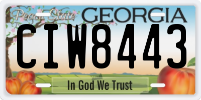 GA license plate CIW8443