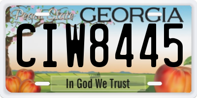 GA license plate CIW8445