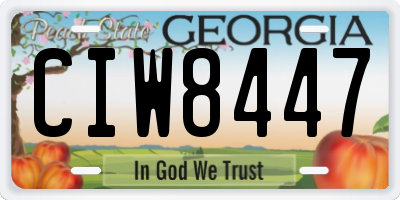 GA license plate CIW8447