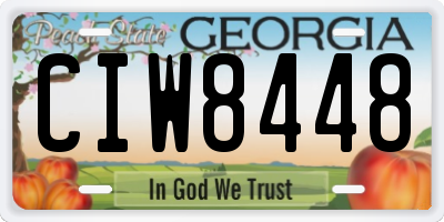 GA license plate CIW8448
