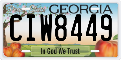 GA license plate CIW8449