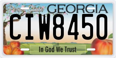 GA license plate CIW8450