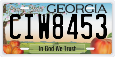 GA license plate CIW8453