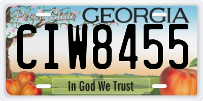 GA license plate CIW8455