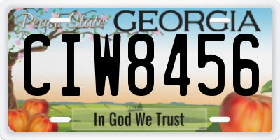 GA license plate CIW8456