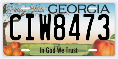 GA license plate CIW8473