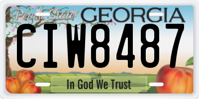 GA license plate CIW8487