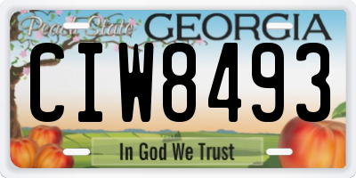 GA license plate CIW8493
