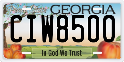 GA license plate CIW8500