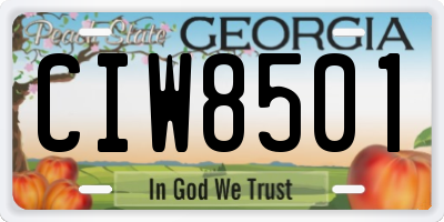 GA license plate CIW8501