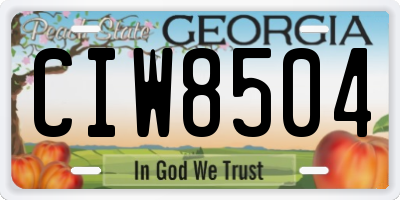 GA license plate CIW8504