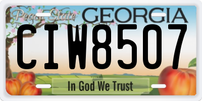 GA license plate CIW8507