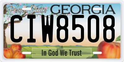 GA license plate CIW8508
