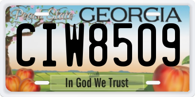 GA license plate CIW8509