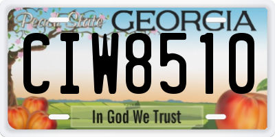GA license plate CIW8510