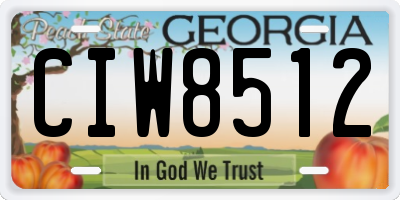 GA license plate CIW8512
