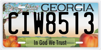 GA license plate CIW8513