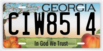 GA license plate CIW8514