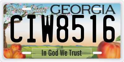 GA license plate CIW8516