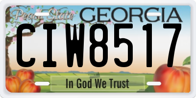 GA license plate CIW8517