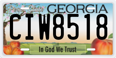 GA license plate CIW8518