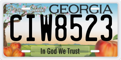 GA license plate CIW8523