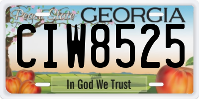 GA license plate CIW8525