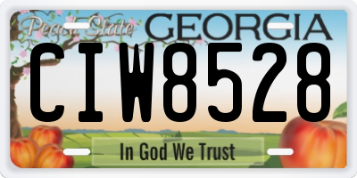 GA license plate CIW8528