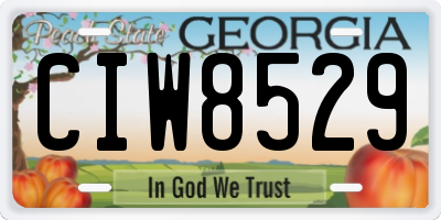 GA license plate CIW8529