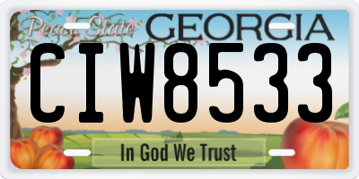 GA license plate CIW8533