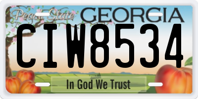 GA license plate CIW8534