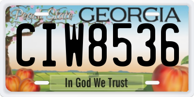 GA license plate CIW8536