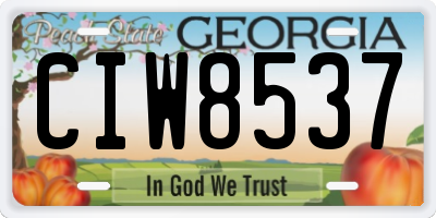 GA license plate CIW8537