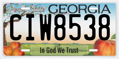 GA license plate CIW8538