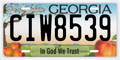 GA license plate CIW8539