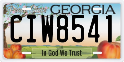 GA license plate CIW8541