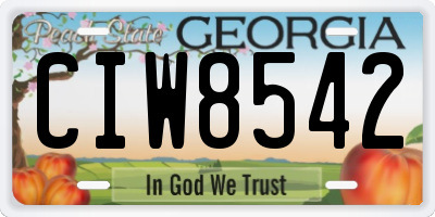 GA license plate CIW8542