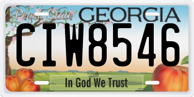 GA license plate CIW8546