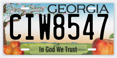 GA license plate CIW8547